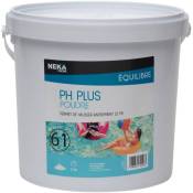 Ph Plus Poudre 5 kg Intex