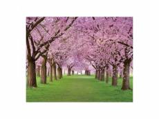 Tableau décoratif photo arbres en fleurs - 100x80cm