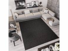 Tapiso tapis salon chambre bouclé nizza noir uni moderne