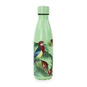 Bouteille isotherme parrot" 500 ml"