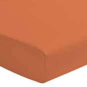Drap housse percale de coton - Bonnet 30cm - Orange