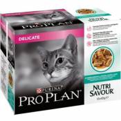Aliment pour chat délicat Pro Plan Delicat en sauce