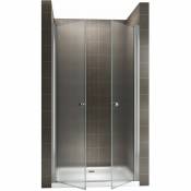 GINA Porte de douche H 195 cm largeur réglable 96 à 100 cm opaque