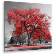 Hxadeco - Tableau deco grand arbre rouge - 50x50 cm
