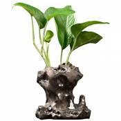 Ornements décoratifs Eau verte créative Vase hydroponique