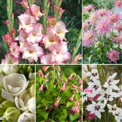 Plant In A Box - Bulb 'Jardin Rose' - Mélange de bulbes