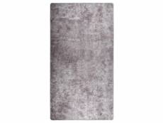 Tapis lavable antidérapant 190x300 cm gris