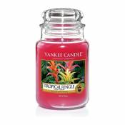 Yankee Candle Bougie Bougie jarre en verre Jungle tropical Grand modèle