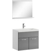 Badplaats - Meuble de salle de bain Montreal 02 60 cm Gris Brillant - Armoire - Blanc avec gris brillant