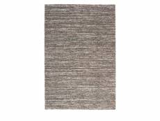 Darwin ii - tapis contemporain - couleur - brun, dimensions - 160x230 cm