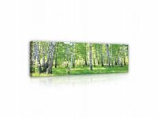 Impression sur toile vert forêt paysage panorama 145x45