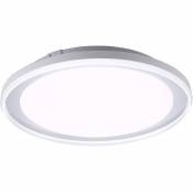 Leuchtendirekt - Plafonnier Smart Home rgb led dimmable lumière du jour Alexa app lampe de salle de bain Paul Neuhaus 16480-17