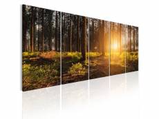 Tableau summer morning taille 200 x 80 cm PD9975-200-80