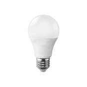 Trade Shop Traesio - Ampoule Led A60 10w 12v Ball Lamp