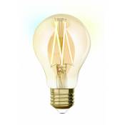 Ampoule intelligente led filament ambré std E27 806Lm 60W variation blanc, Idual - Centrale Brico