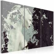 Décoshop26 - Tableau toile de décoration- Noir et blanc - triptych 90x60cm