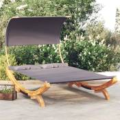 Design In - Lit repos et auvent - Chaise longue Bain de soleil 165x203x126cm Bois courbé massif Anthracite BV423002