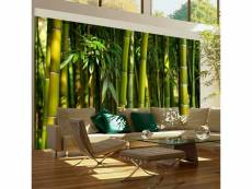 Paris prix - papier peint "forêt de bambous asiatique