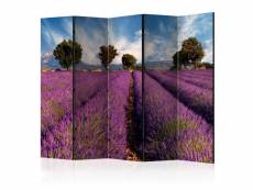 Paris prix - paravent 5 volets "lavender field in provence,