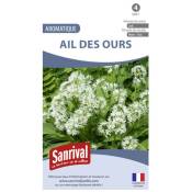 Sanrival - Graines Ail des Ours