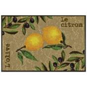 Wash+dry - Paillasson le citron oeko-tex® Marron - 75x120 - Marron