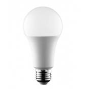 Ampoule LED E27 14W A65 1400 lumens - Blanc Froid -