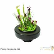 Le Poisson Qui Jardine.fr - Panier flottant 30 cm de diamètre pour plantes de bassins de jardin et étangs