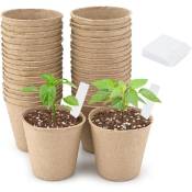 50 Pièces 6CM Pot de Culture Biodegradable pour Semis,