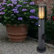 Borne lumineuse avec prise et prise détecteur de mouvement colonne jardin avec lumière, acier inoxydable anthracite, fumée plastique, 1x E27, DxH