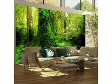 Papier peint intissé paysages jungle taille 300 x