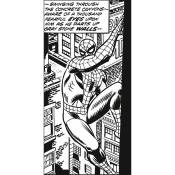 Papier peint panoramique Spider-Man - 100 x 200 cm