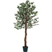 Plantasia® Ficus Benjamini artificiel, tige en bois