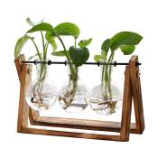 Plante Terrarium avec support en bois, Air Planter Bulb Vase en verre Support pivotant en métal Table rétro pour la culture hydroponique Maison
