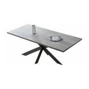 Table à manger rectangulaire - table à manger allongée gris clair - pour 6 - 8 personnes - structure métallique - style contemporain - marque jecci