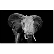 Tableau Elephant du Botswana - 80x50cm - made in France
