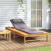 Chaise longue et coussin/oreiller gris foncé bois