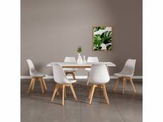 Ensemble table extensible 120-160cm helga et 6 chaises nora blanc