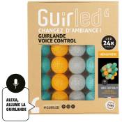 Hémisphère Commande Vocale Guirlande lumineuse boules coton Google & Alexa 24 boules - 24 boules