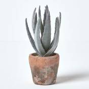 Homescapes - Petit Aloès artificiel en pot en terracotta, 21 cm - Vert