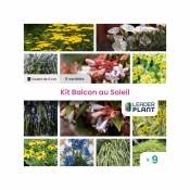 Kit pour Balcon ou Terrasse au Soleil - Lot de 9 plants