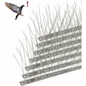 Pic Anti-Pigeon en Acier Inoxydable 6.6 Mètres, Pack