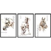 Cheval portrait Trio, Set de 3 posters muraux - 90x45cm