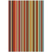 Deladeco - Tapis de salon rayé rectangle moderne Glastonbury Multicolore 160x230 - Multicolore
