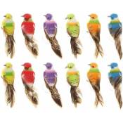 Lot de 12 oiseaux artificiels colorés sur pinces en mousse pour loisirs créatifs de jardin d'oiseaux Ornements Bricolage Artisanat pour La Décoration