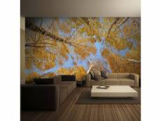 Papier peint arbres d'automne l 250 x h 193 cm A1-XLFTNT0990