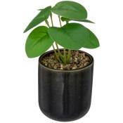 Plante verte artificielle Pot en céramique Noire émaillée