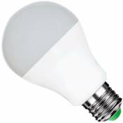 Silamp - Ampoule led E27 12W 220V A60 180° - Blanc