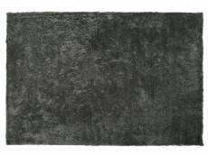 Tapis 200 x 300 cm gris foncé evren 184996