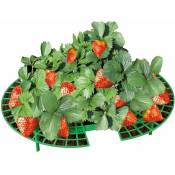 Wenko - Support à fraises, ø 40 cm, 5 pièces, venko