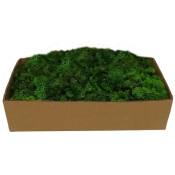 Myvillage - Lichen Vert Mousse 500 gr
